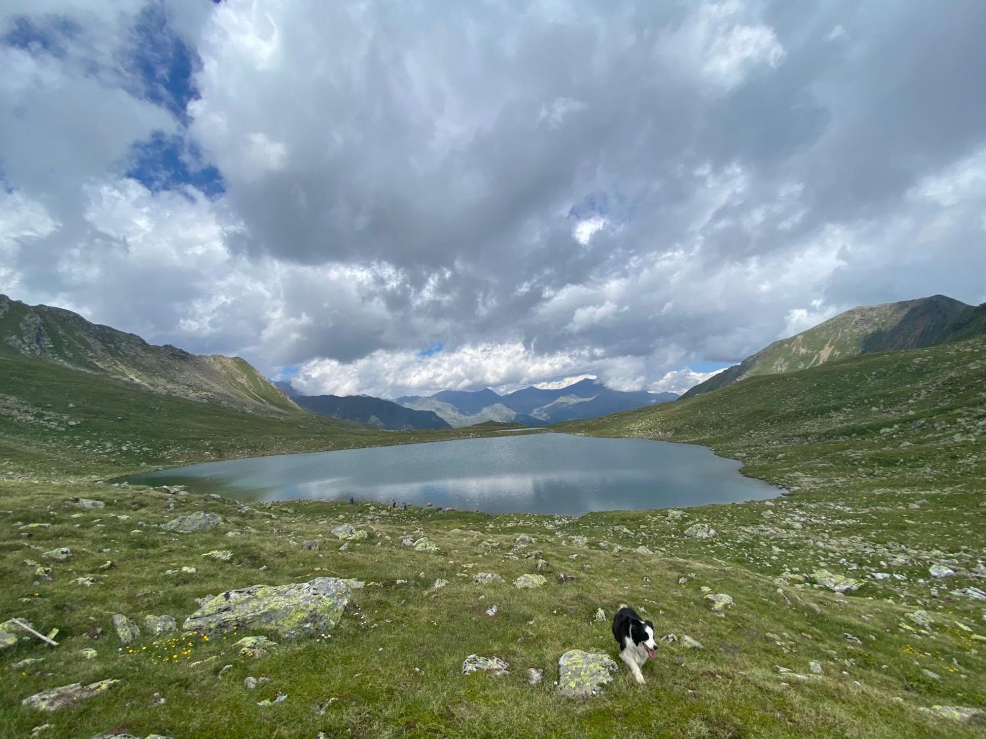 Appartamento Panorama 1 Cles Eksteriør billede